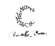 Logo Domaine Betton