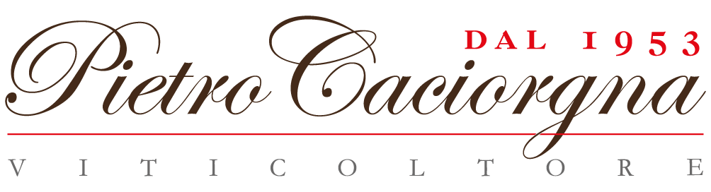 Logo Pietro Caciorgna