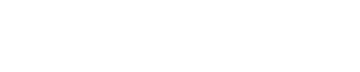 Logo Domaine des Roches Neuves